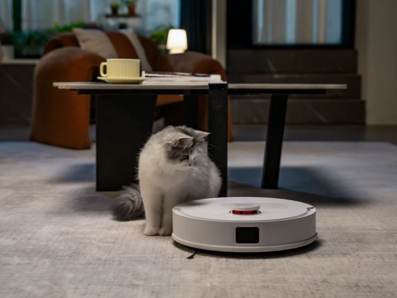 A Thoughtful Home Companion